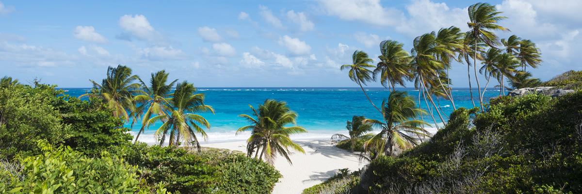 0.55 Acres of Land for Sale in St James, Barbados — photo 3