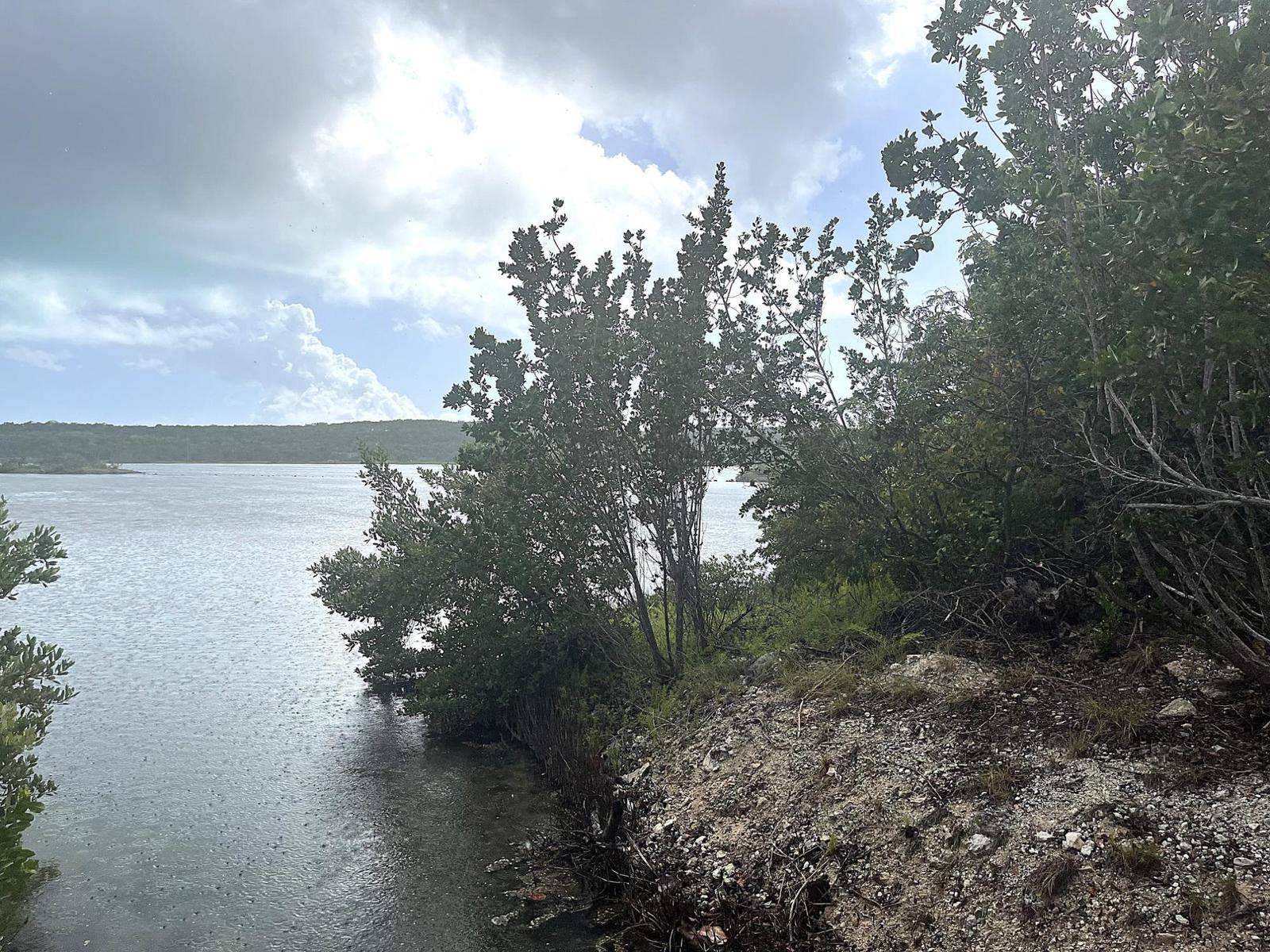 CLARENCE TOWN LOT WITH VI — photo 2