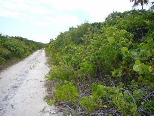 Vacant Land for sale in Greenwood Estates, Bahamas — photo 4