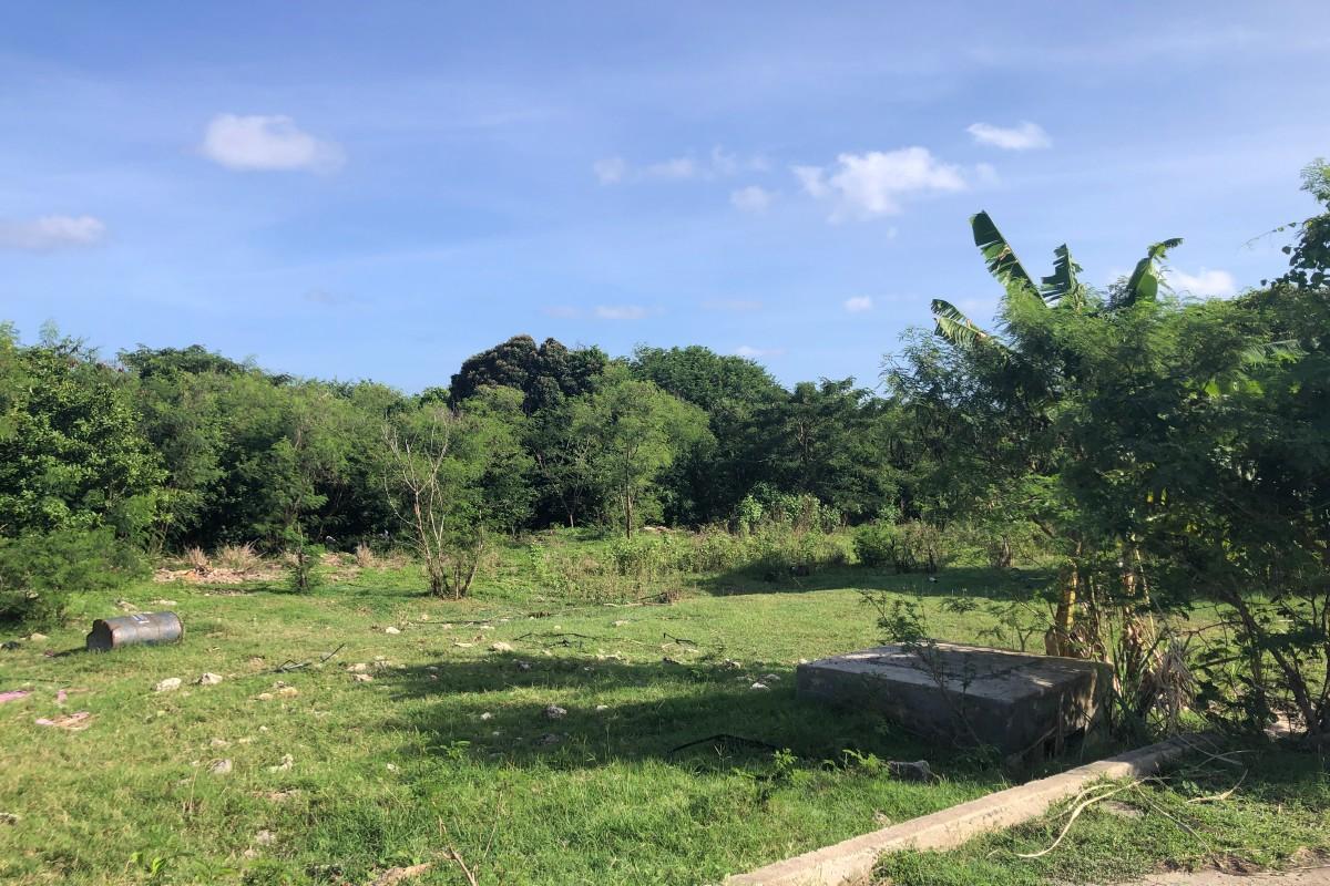 Two residential lots for sale in St Philip, Barbados — photo 3