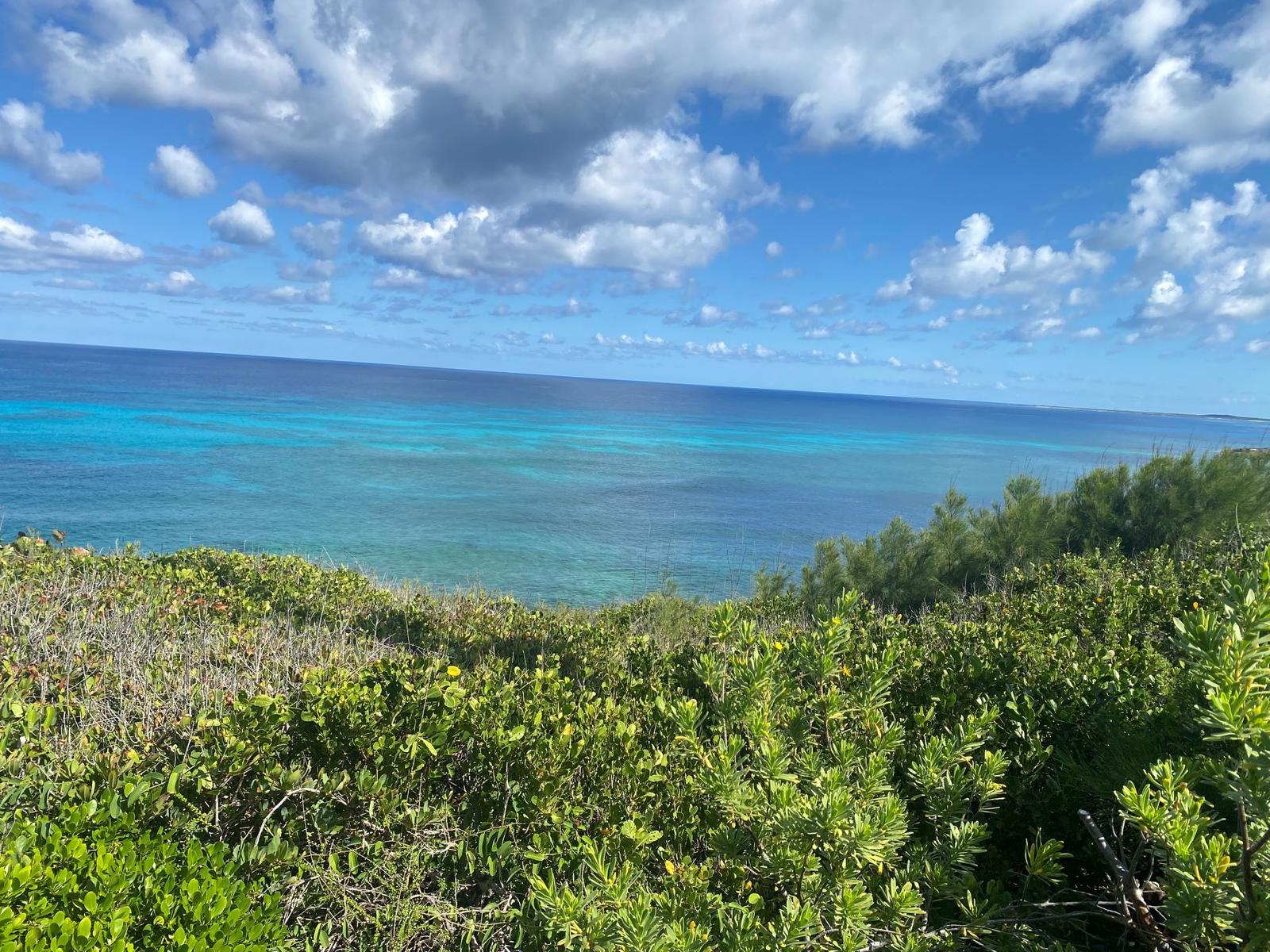 Vacant Land for sale - Lot 15, Block 20, Section B - MLS 65101 — photo 3
