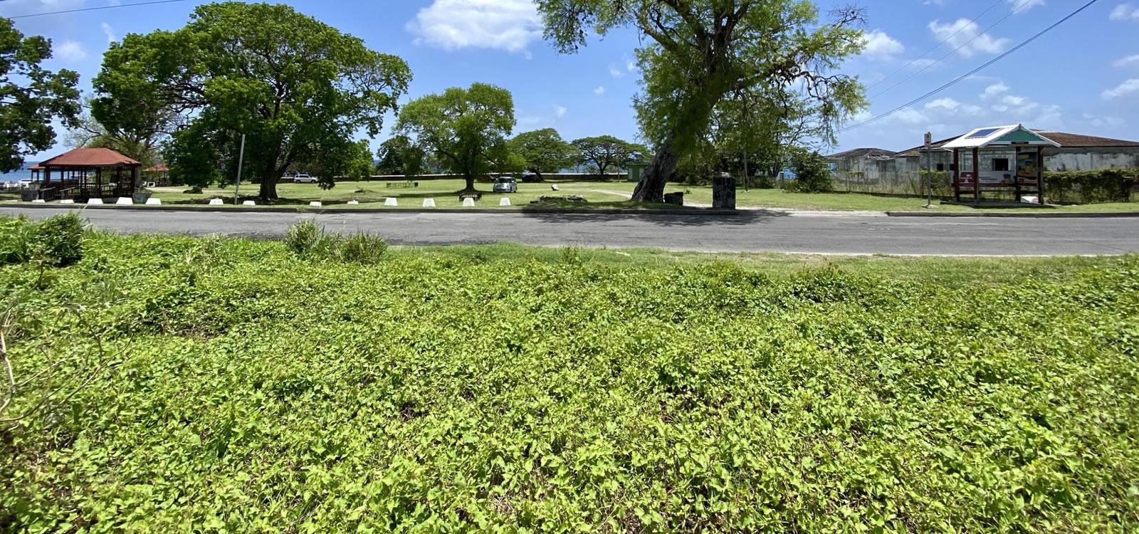 0.19 Acres of Land for Sale, Old Hospital Road, Nevis — photo 4