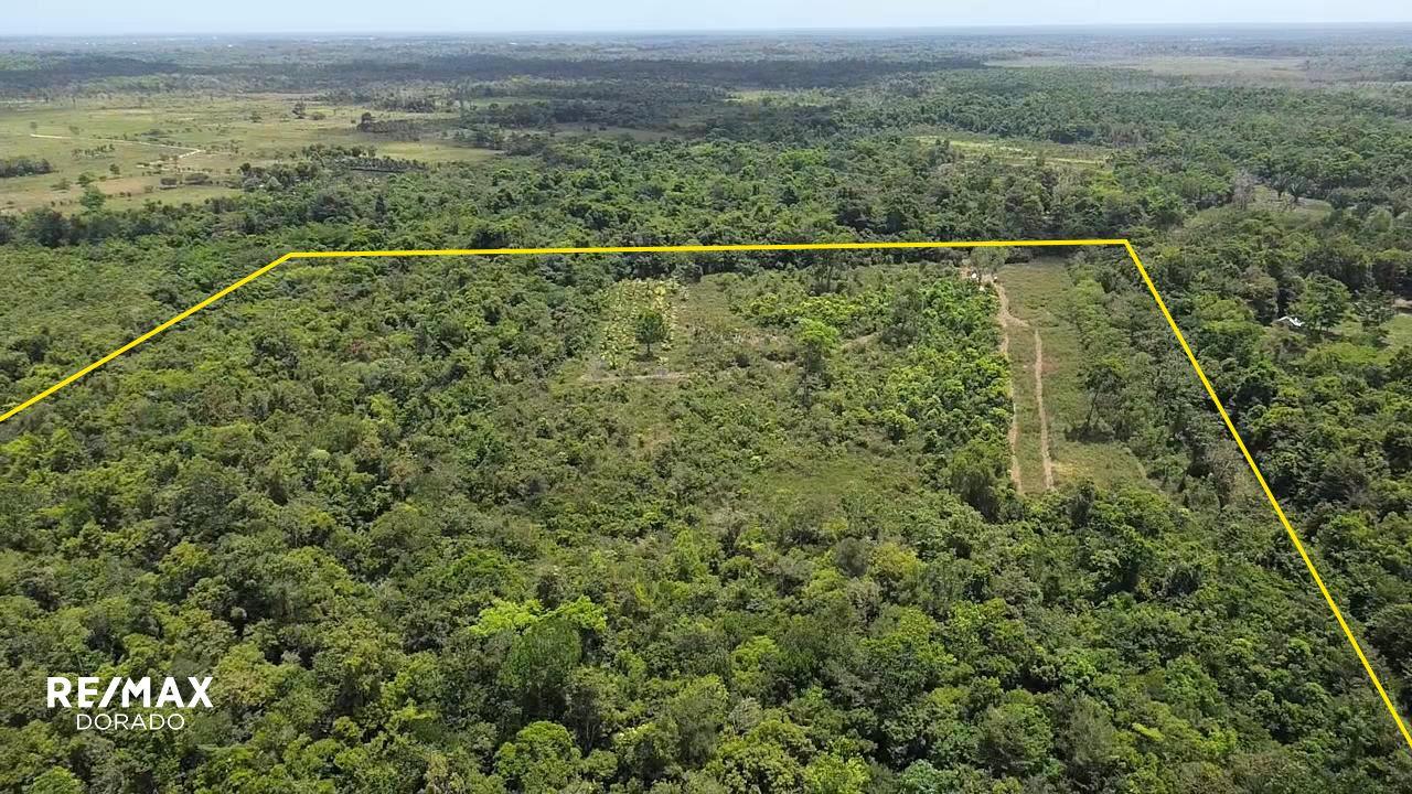 50 Acres Trio Area, Toledo, Belize — photo 2