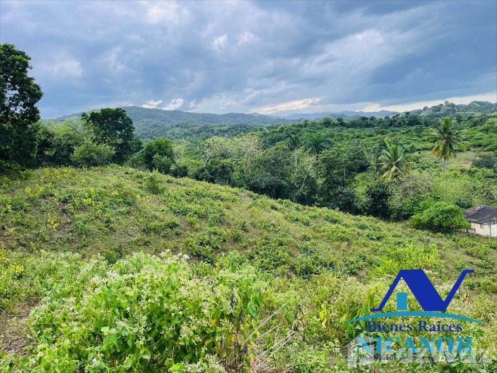 Cattle farm for sale, 2,300 tareas and up in San Felipe De Puerto Plata — photo 4