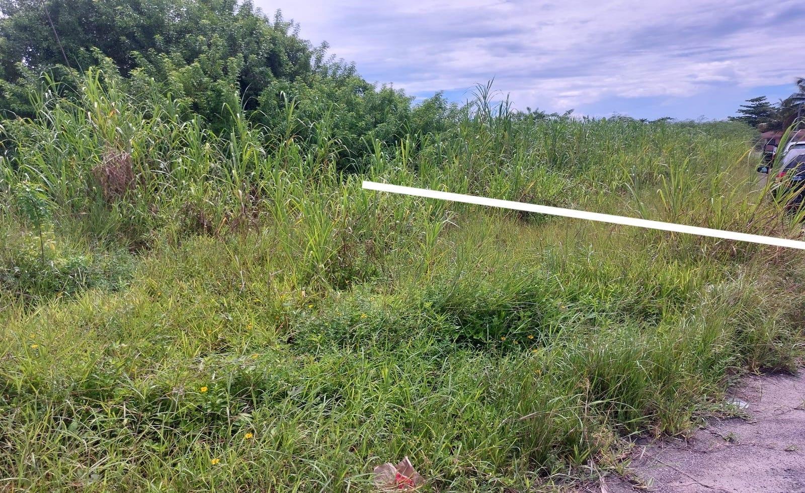 PALM BREEZE DR — photo 4