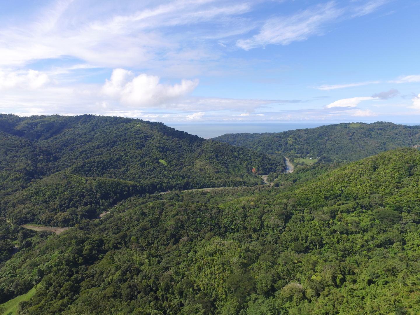 34 Acres of Farm Land for Sale, Platanillo, Puntarenas, Costa Rica — photo 2