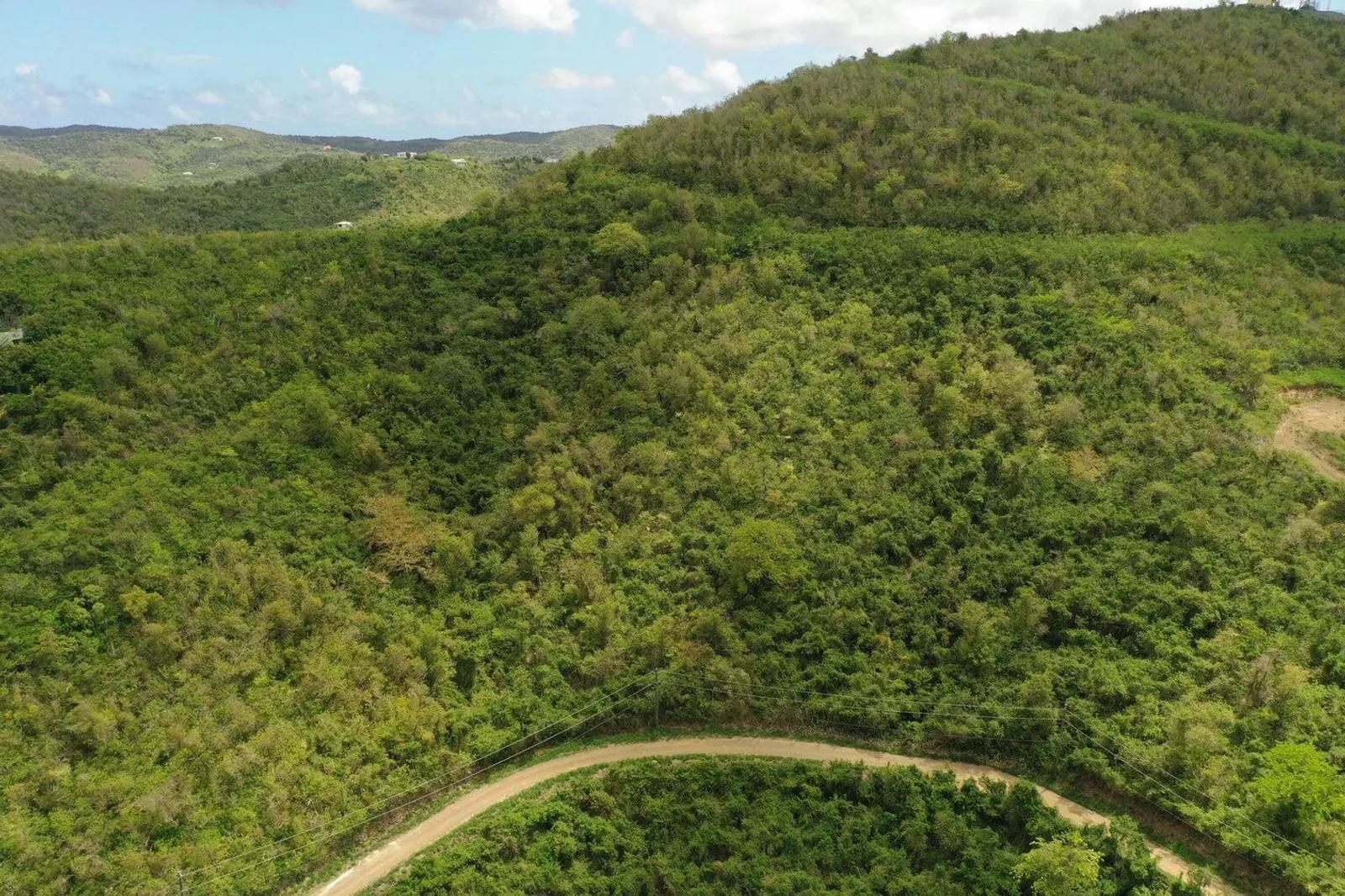 44.81 Acre Lot — photo 3