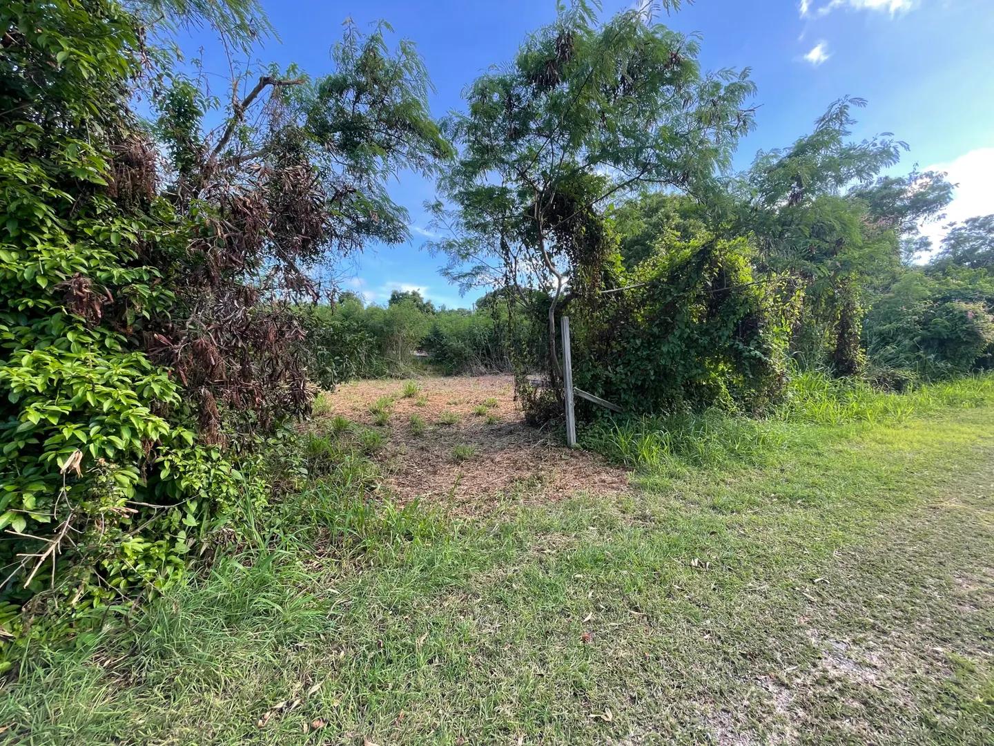 1.43 Acre Homesite Lot in Cotton Valley, US Virgin Islands — photo 5