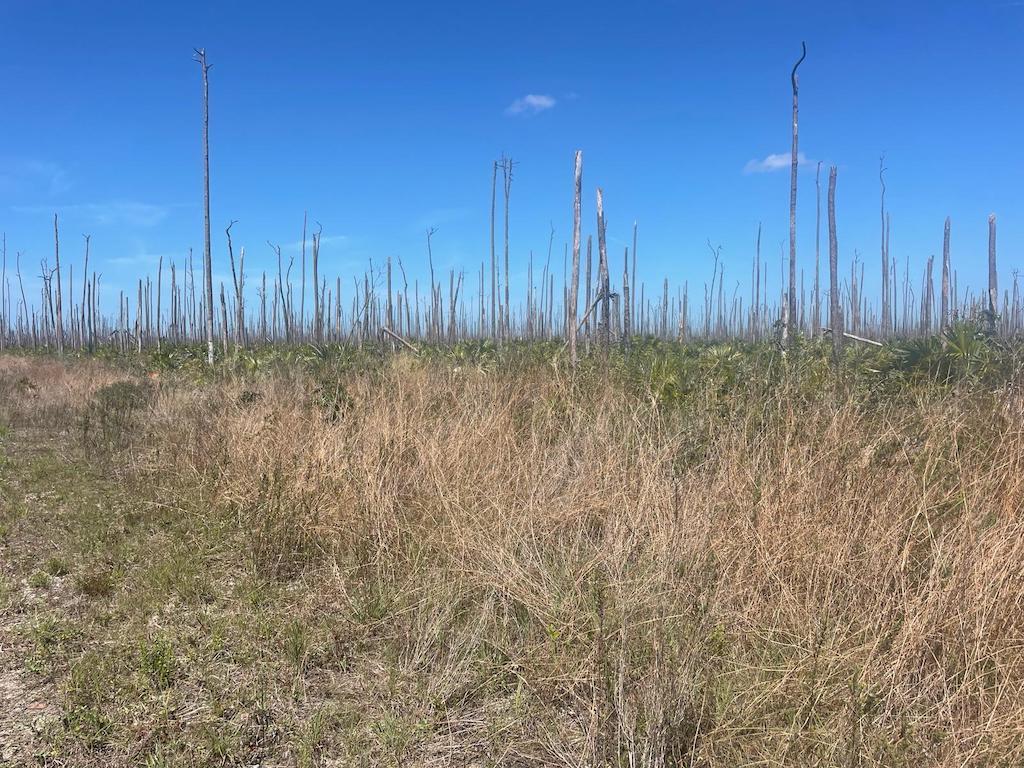 Lot 1, Block 385, Unit 33, Lucaya - Mls 66890 — photo 1