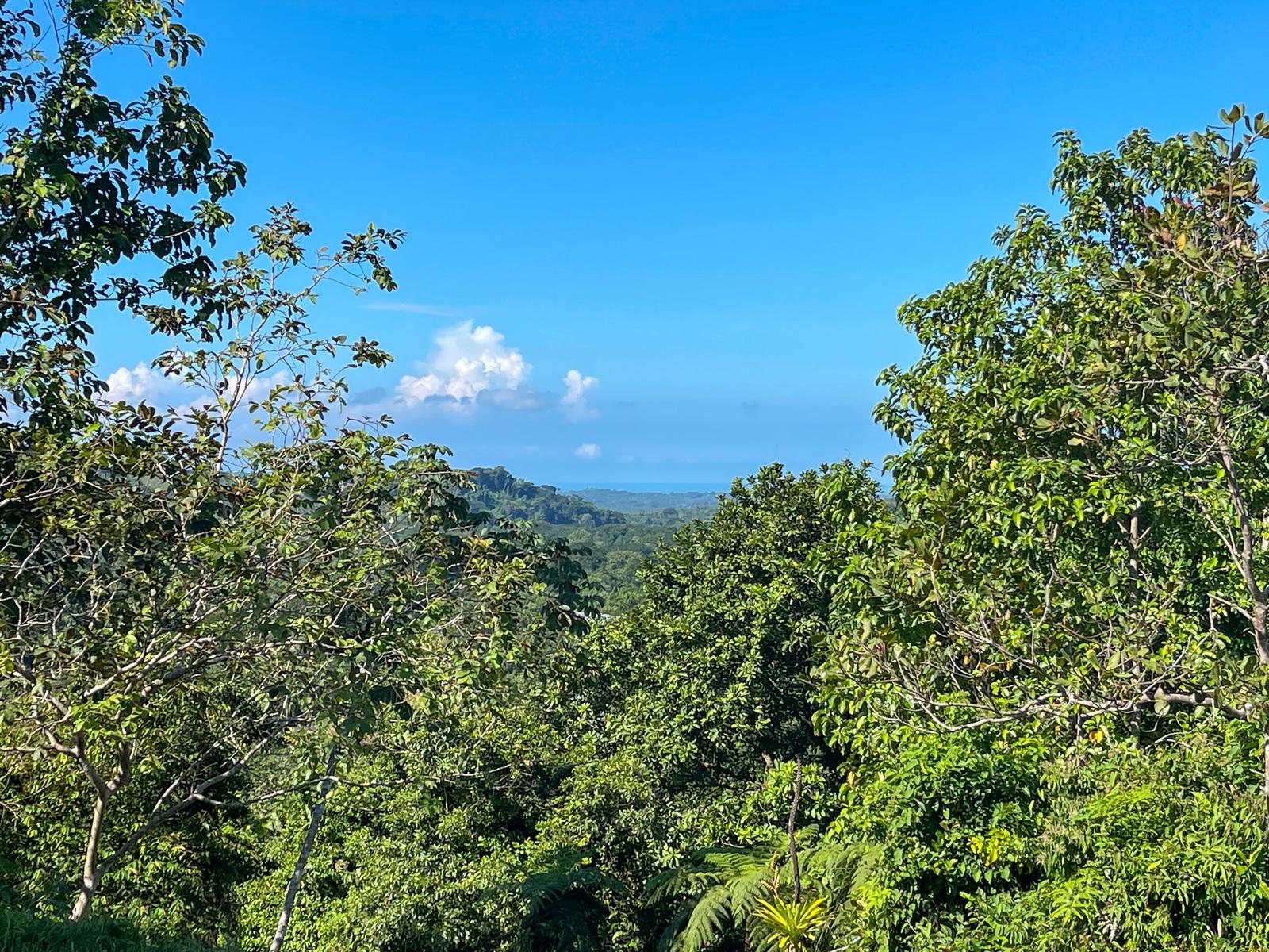 113 Hectare Ranch for Sale, Londres, Manuel Antonio, Puntarenas, Costa Rica — photo 2
