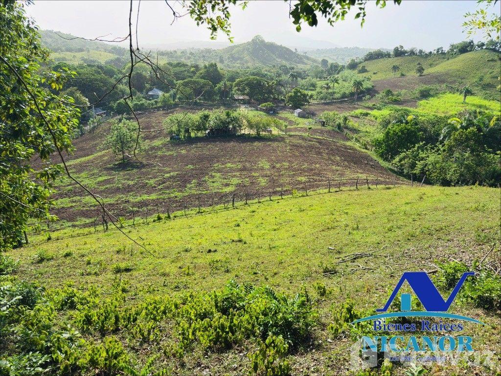 278-acre farm for sale — photo 4