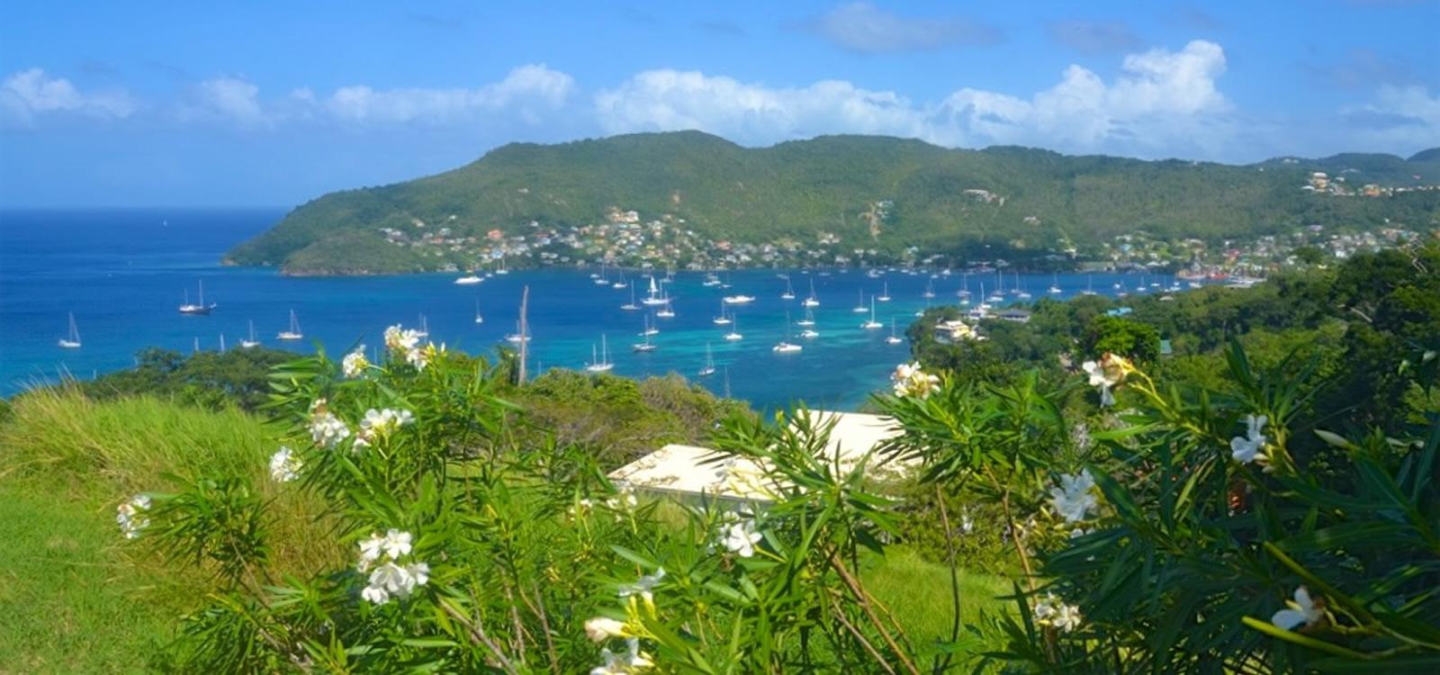 2.06 Acre Estate with 3 Bedroom Home and 2 Bedroom Cottage for Sale, Lower Bay, Bequia — photo 1