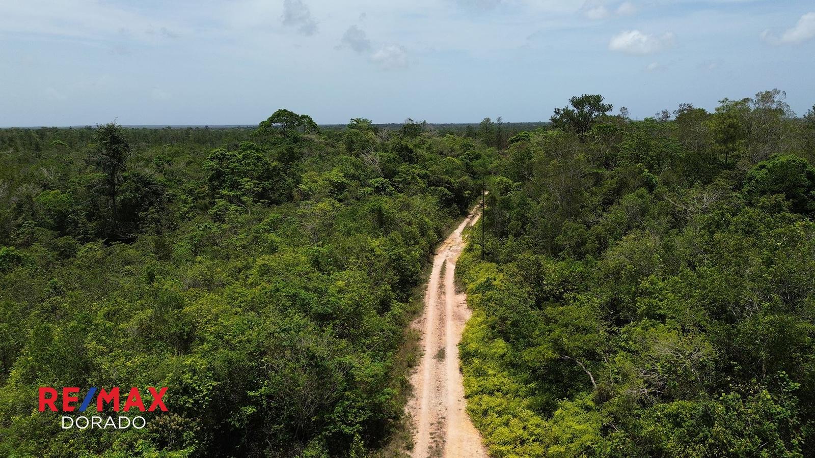 Prime 19.16-Acre Property for Sale — photo 5