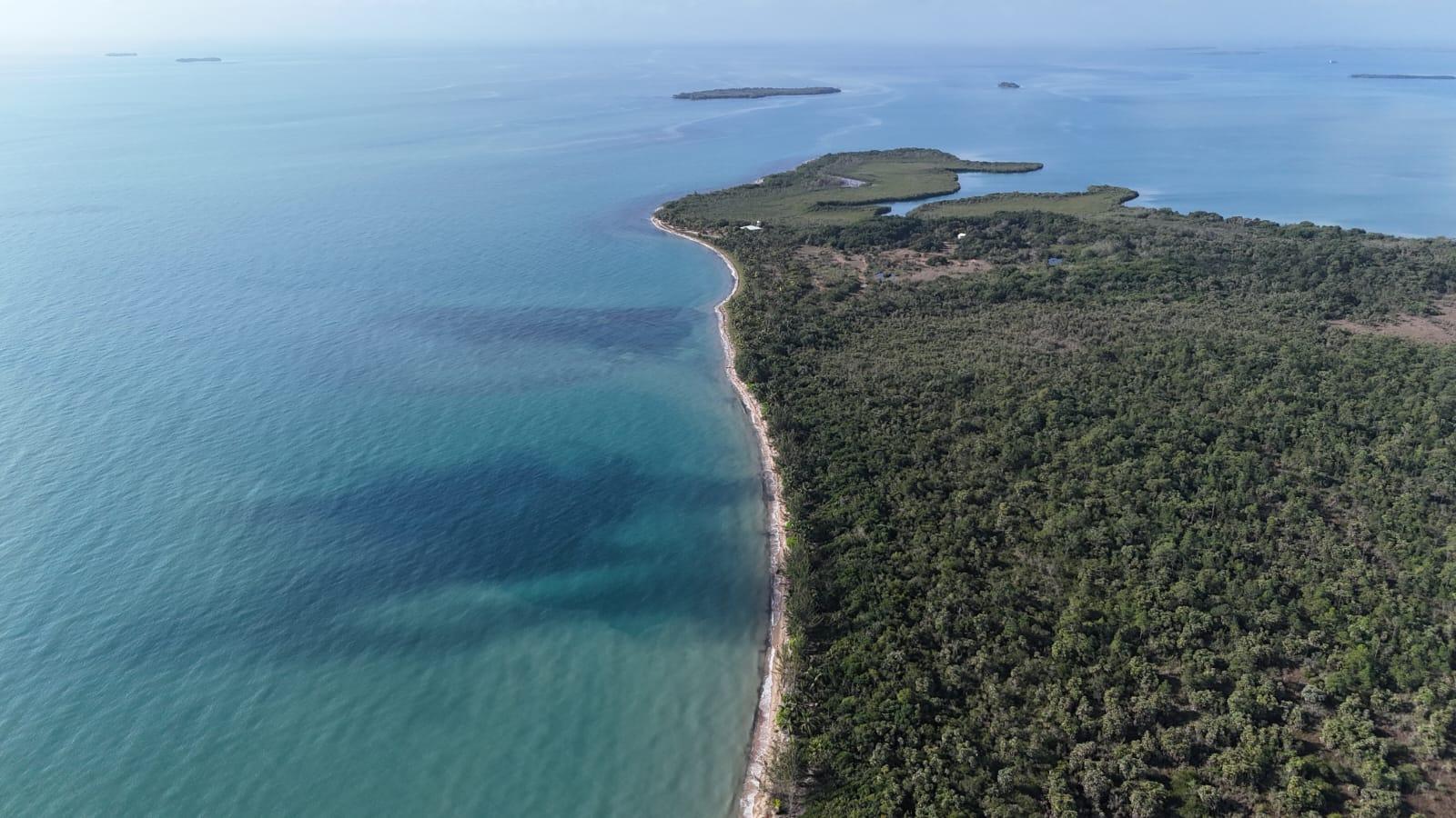 10 acres in Glorious Punta Ycacos — photo 3