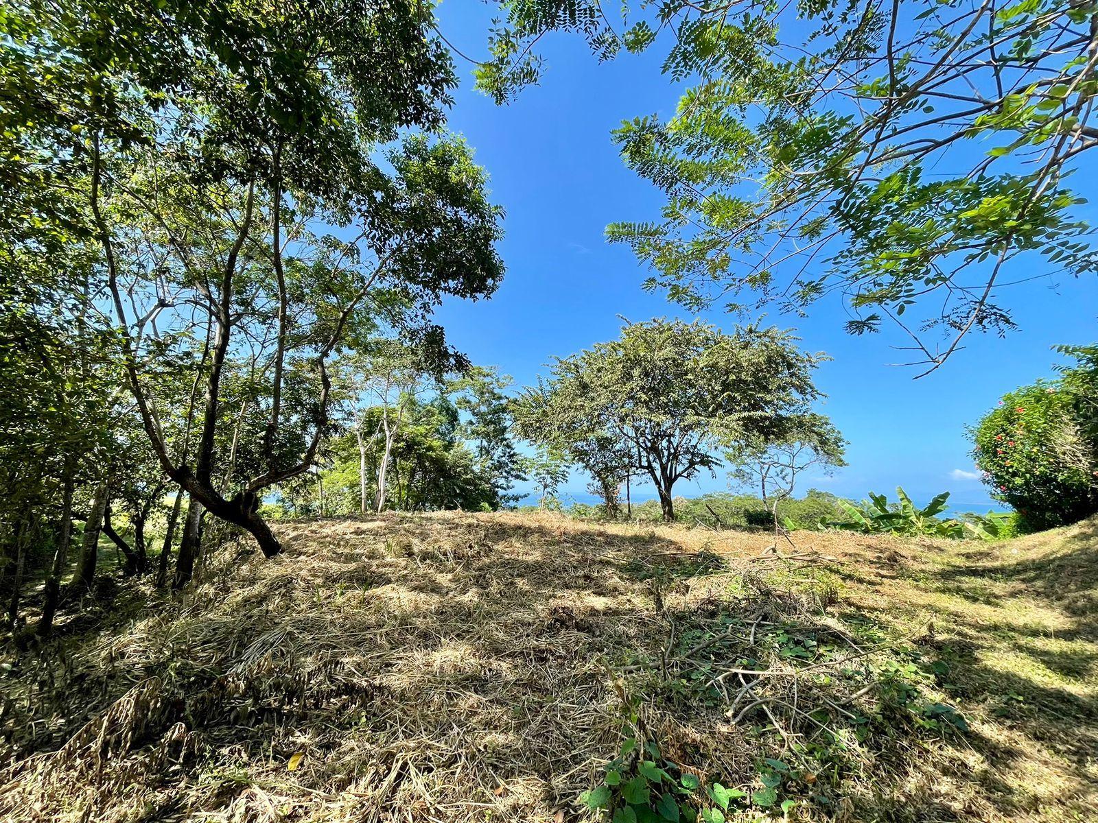 7,103 Sq M Ocean-View Lot for Sale, Manzanillo, Santa Teresa, Puntarenas, Costa Rica — photo 3