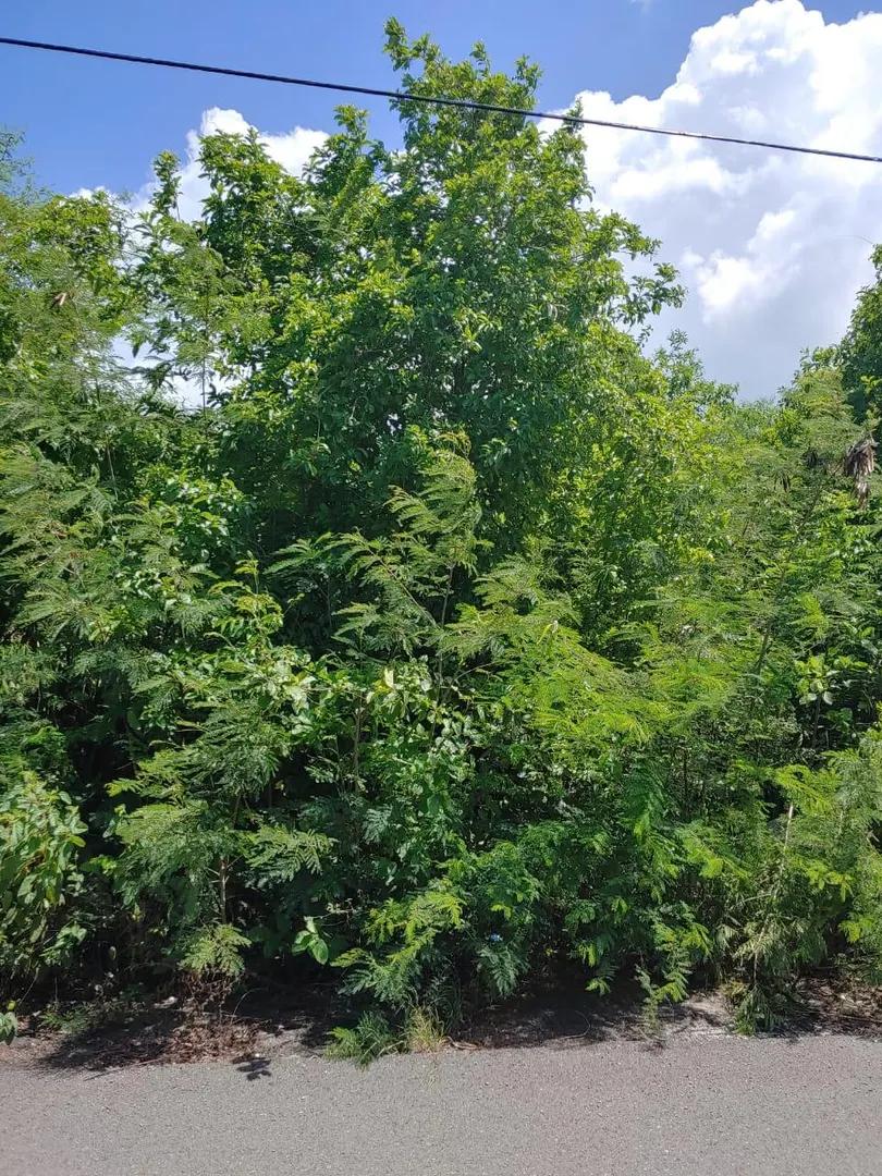 Homesite for sale in Hannah's Rest We, St. Croix — photo 2