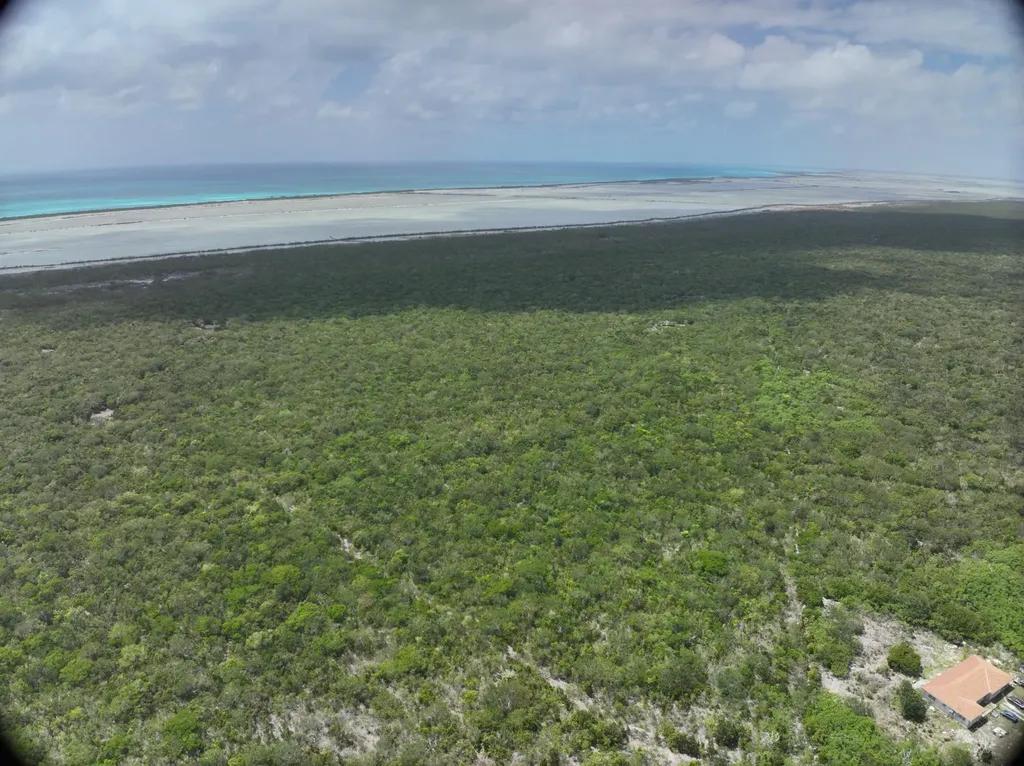 Hugh Dean Tract 12.5 Acres Long Island, BS — photo 4