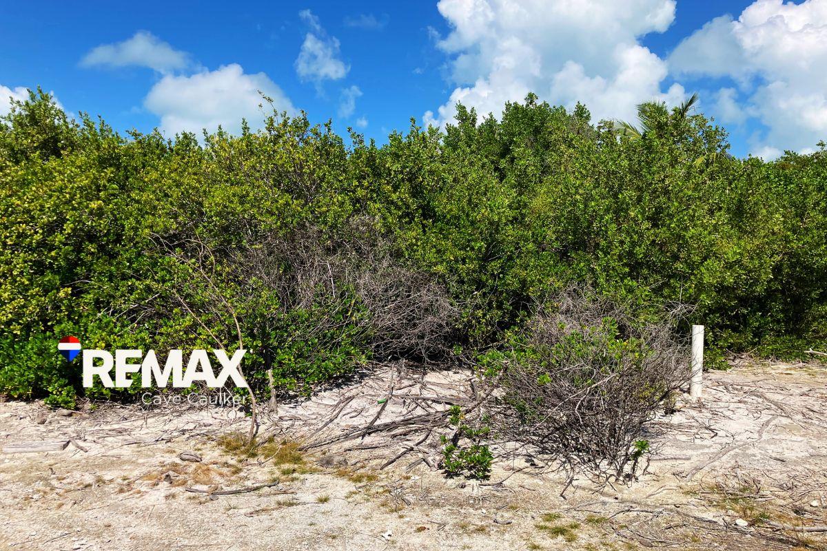 Prime North Caye Caulker Lot – High, Dry, and Ready for Development — photo 5