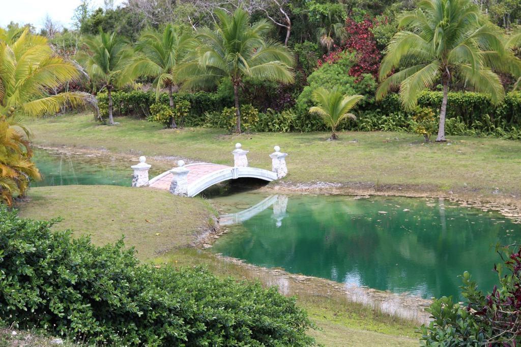 LYFORD HILLS Development Lot in Nassau, The Bahamas — photo 3