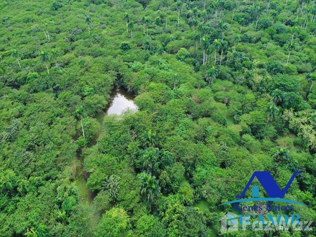 5,200 tareas cattle farm for sale — photo 3