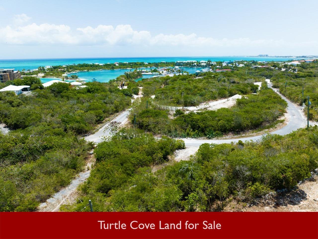 Turtle Cove lots for sale — photo 5