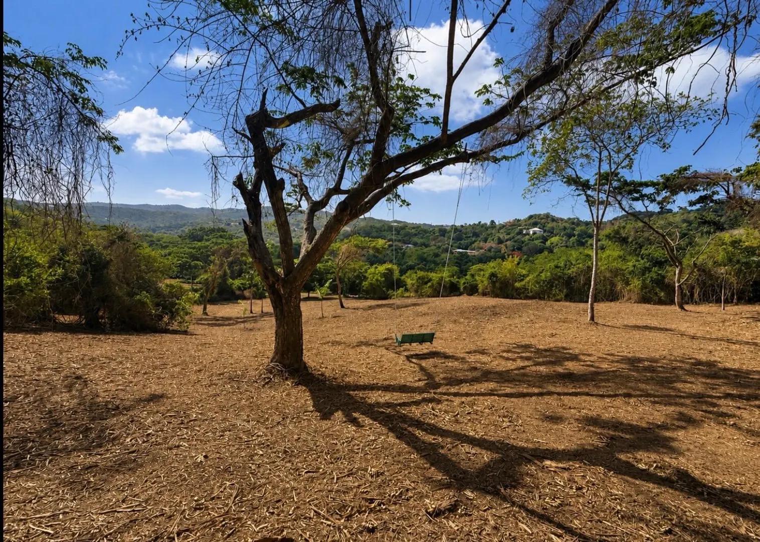 2.06 Acre Lot in St. Croix Rain Forest — photo 5
