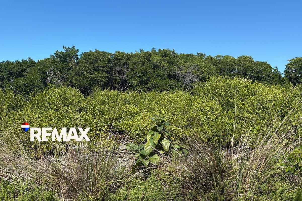 Oversized Off-Grid Lot at Mayan Sunrise — photo 5