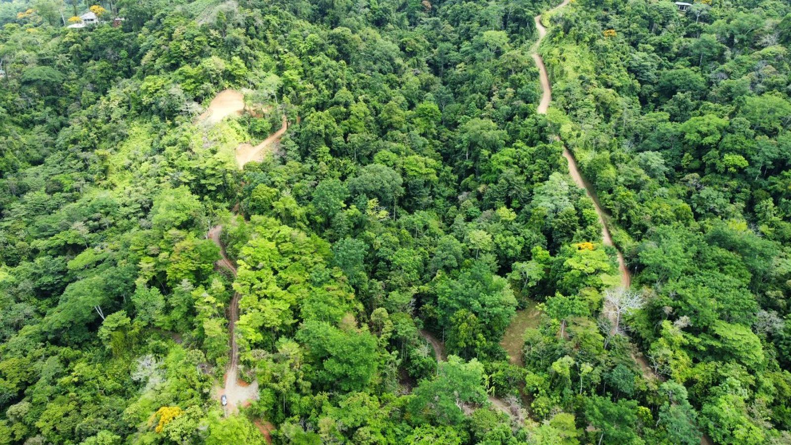 17 Acres of Land for Sale, Uvita, Puntarenas, Costa Rica — photo 3