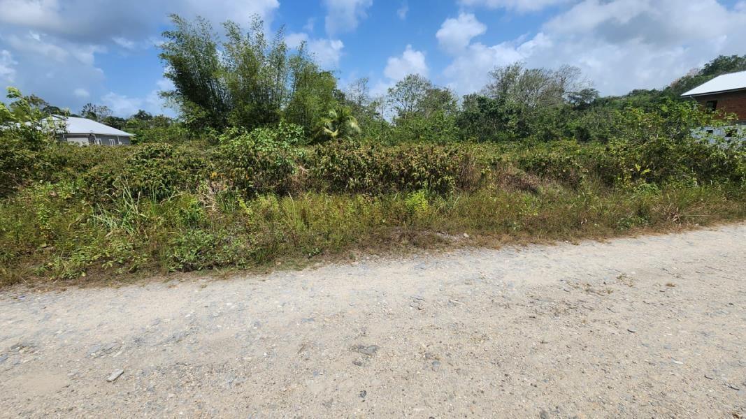 Guaico Tamana Road Lots for Sale — photo 3