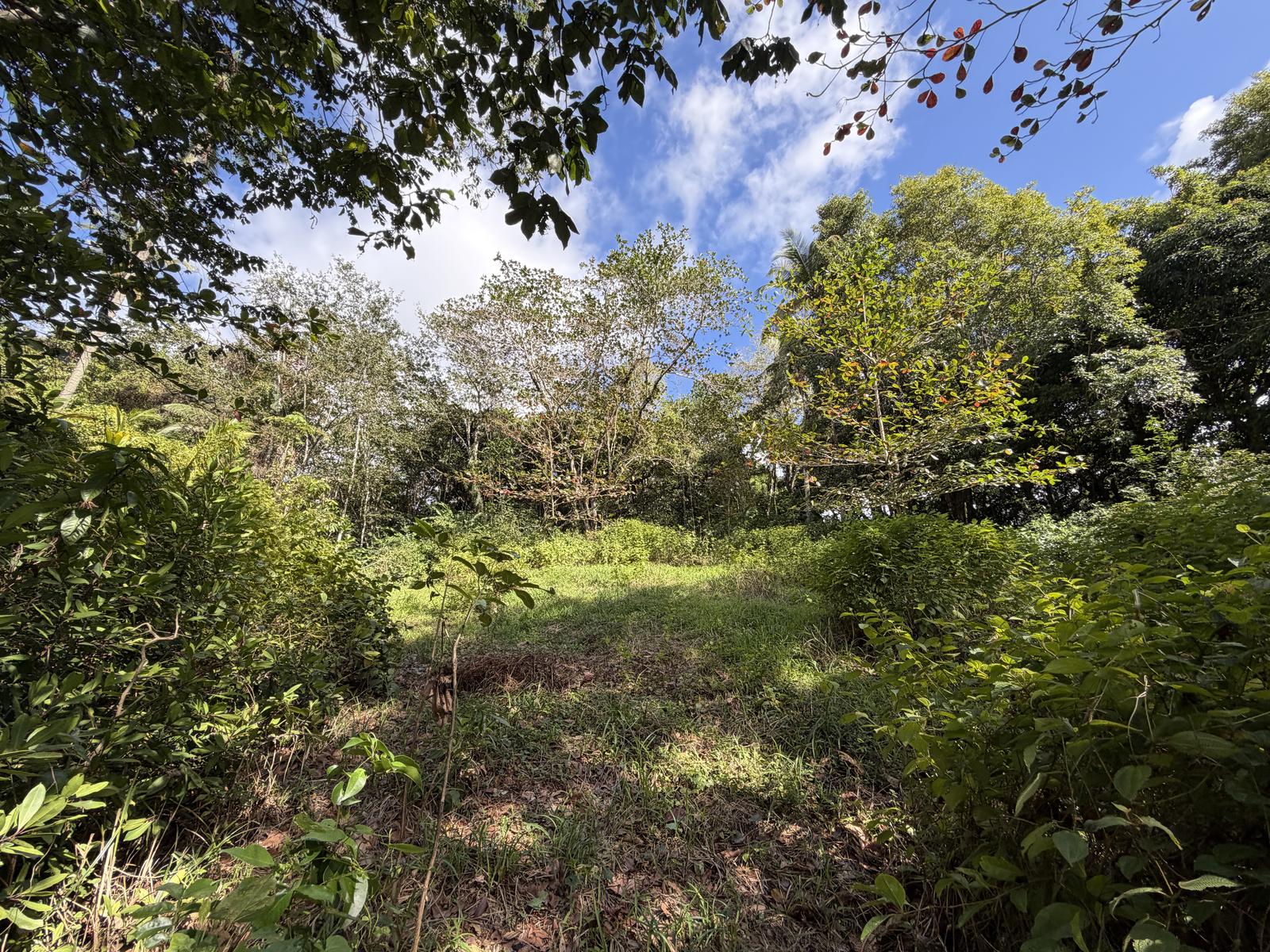 Excellent Residential Lot in Balata Priced for a Quick Sale — photo 2
