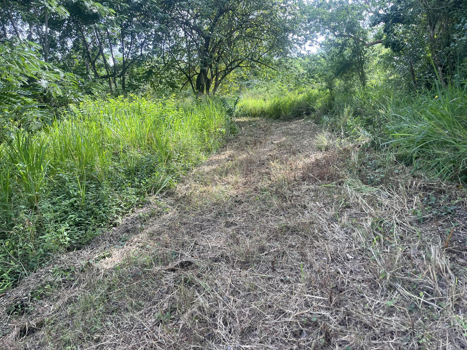 9.4 cuerdas of natural beauty in Coamo for farm or agrotourism project — photo 3