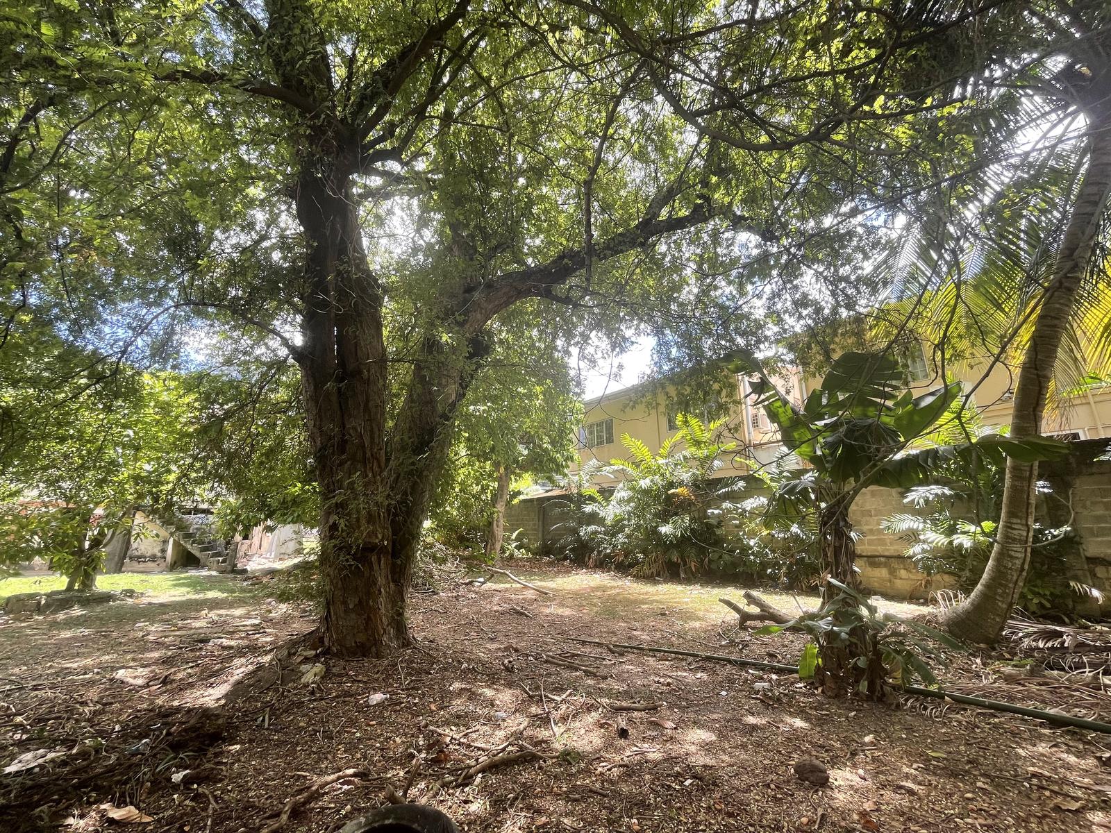 Petit Valley Land for Sale (2 Lots) on Early Morne Coco Road — photo 4