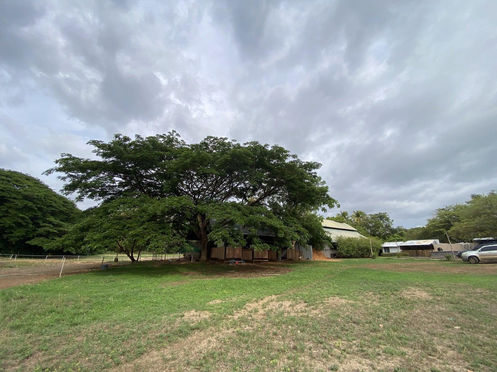 28 Hectares of Land for Sale in Playa Hermosa, Guanacaste, Costa Rica — photo 4