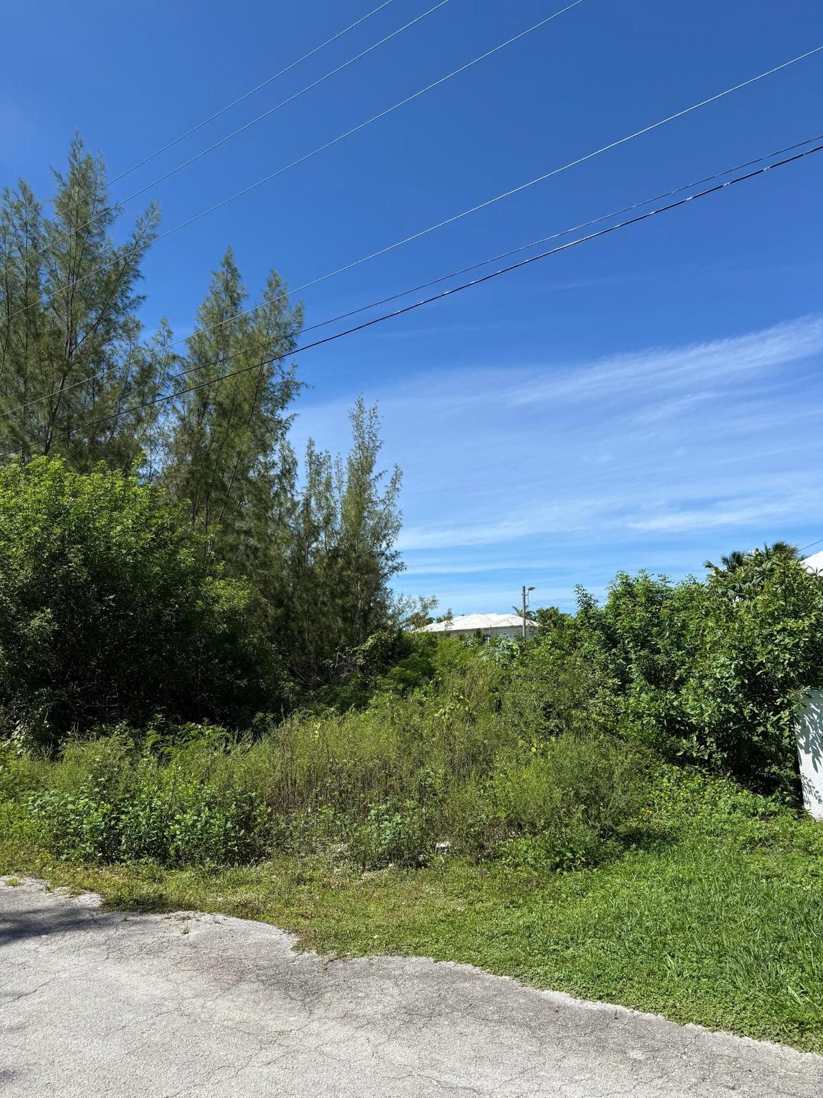 SILVER SANDS COURT, FREEP — photo 3