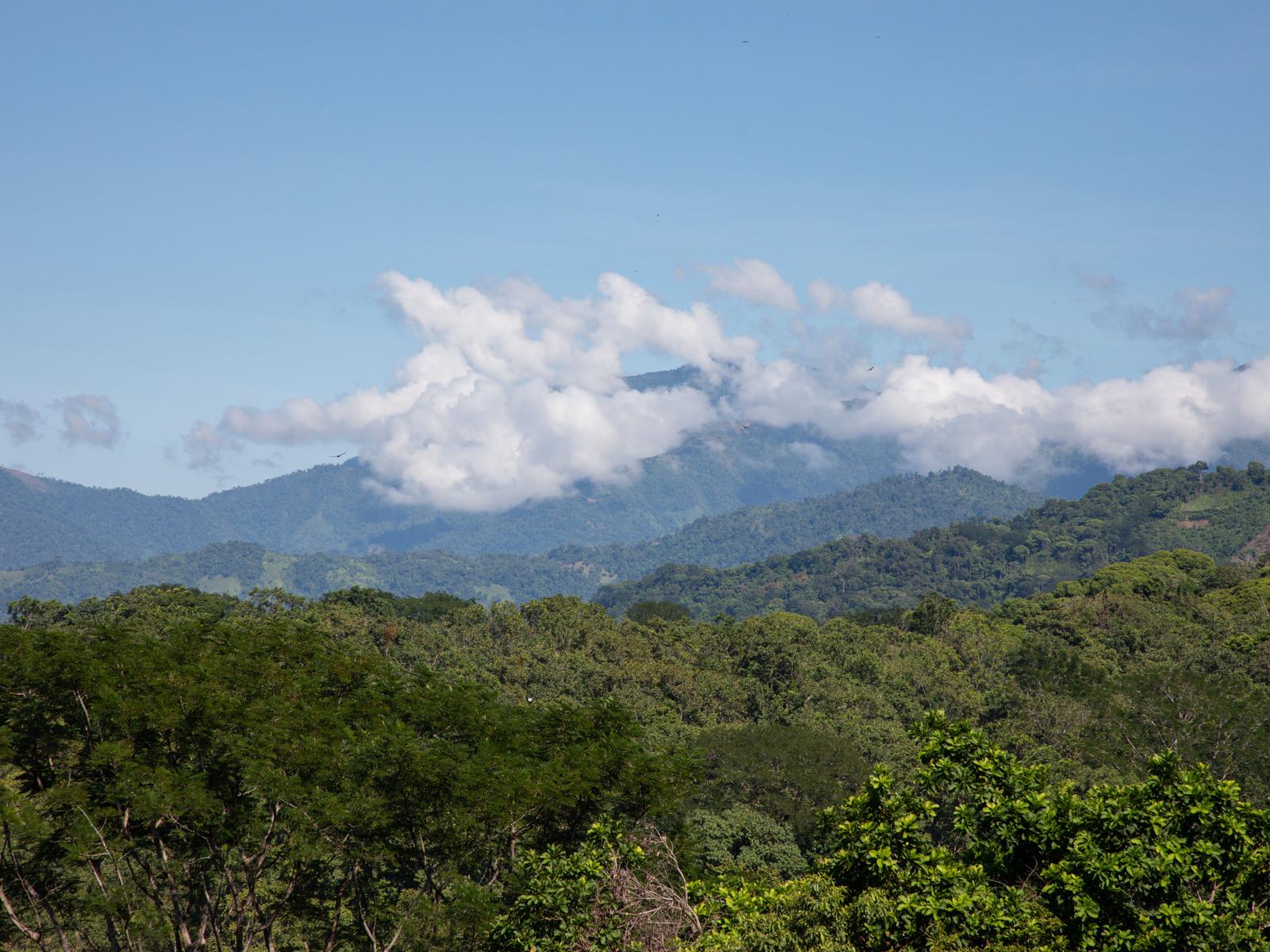 113 Hectare Ranch for Sale, Londres, Manuel Antonio, Puntarenas, Costa Rica — photo 1