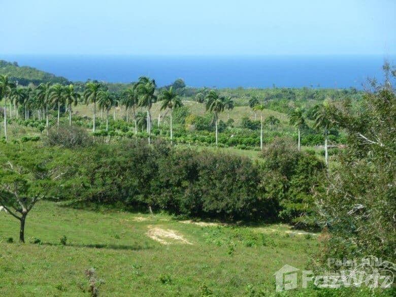Land for sale in Cabrera Hills — photo 1