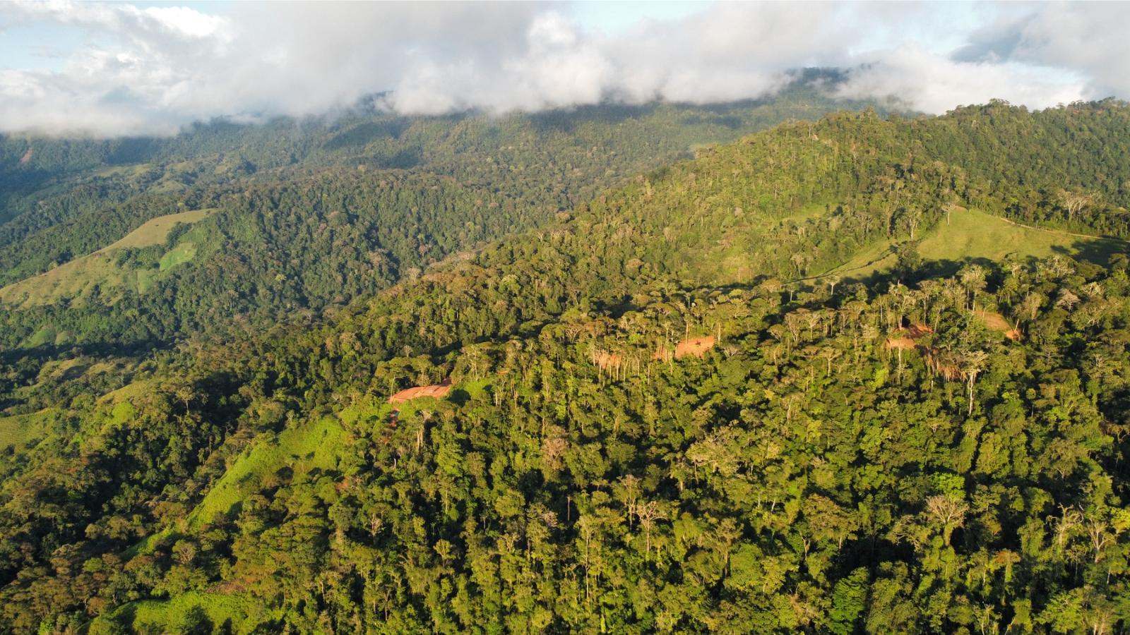 5 Acres Ocean-View Land for Sale in Uvita, Costa Rica — photo 4