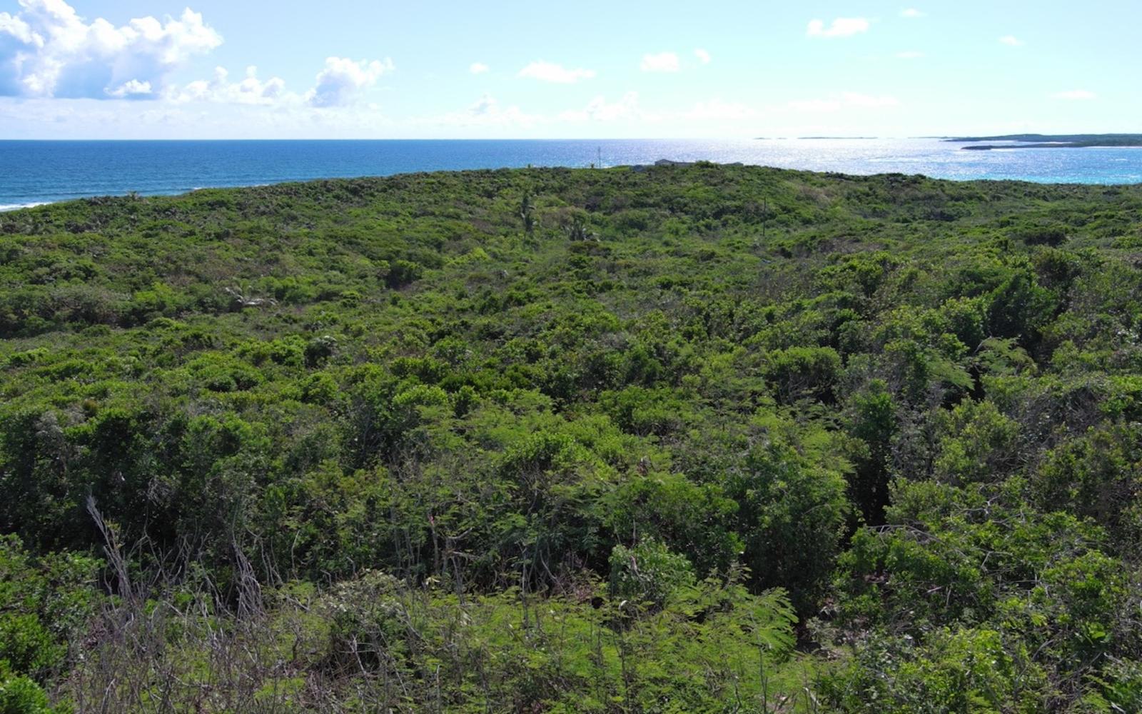 Oceanview Lot 2, Scrub Hill, Lochabar, Bahamas — photo 5