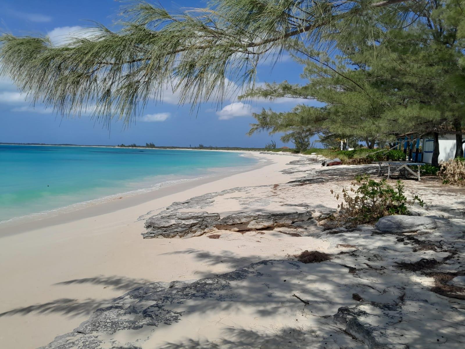 SOUTH ANDROS 300 ACRE — photo 5