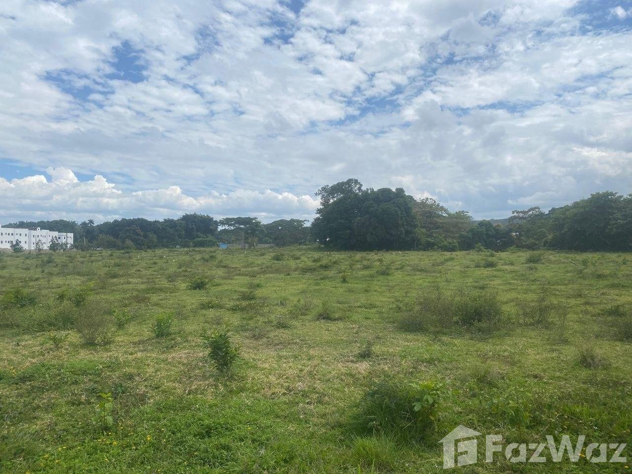 EXCLUSIVE INVESTMENT OPPORTUNITY IN MUÑOZ — photo 2