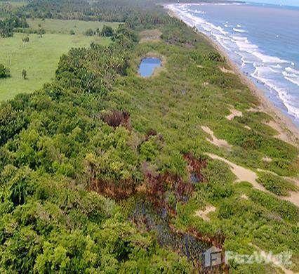 Tourist land for sale Sabaneta de Yásica, Puerto Plata — photo 5