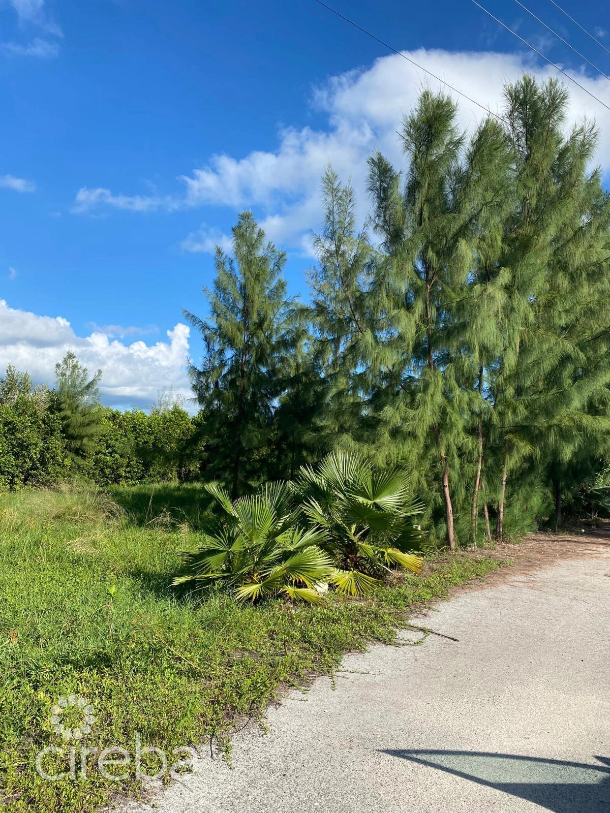Pease Bay Lakes Lakefront Lot — photo 3
