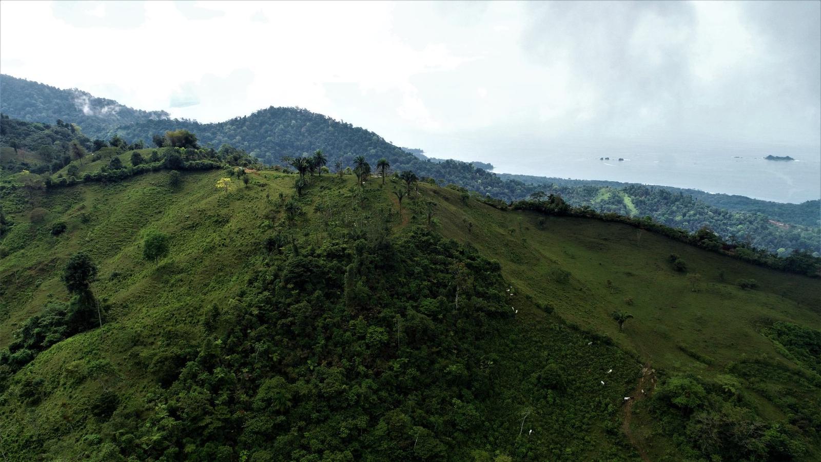 276 Acres of Farm Land for Sale, Uvita, Puntarenas, Costa Rica — photo 5