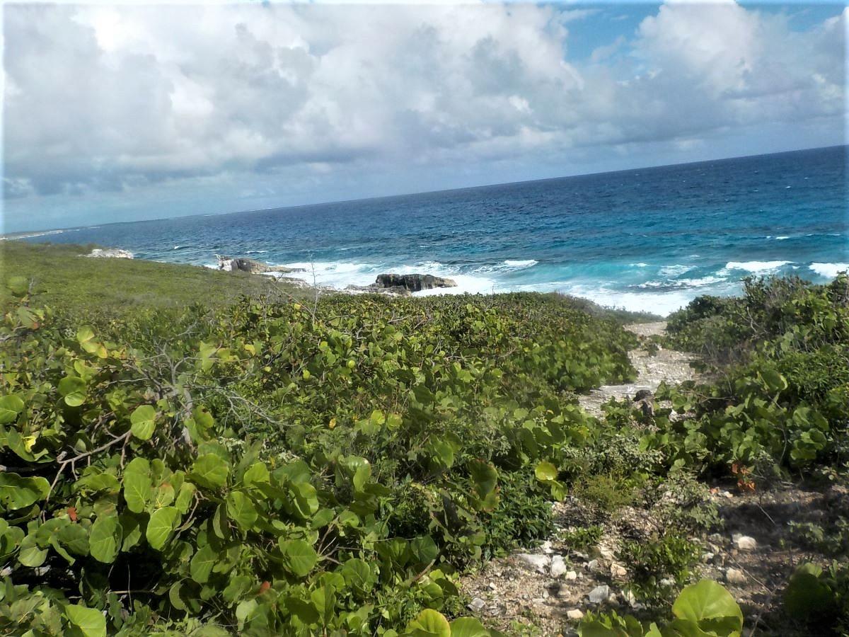 OCEAN FRONT ACREAGE — photo 4