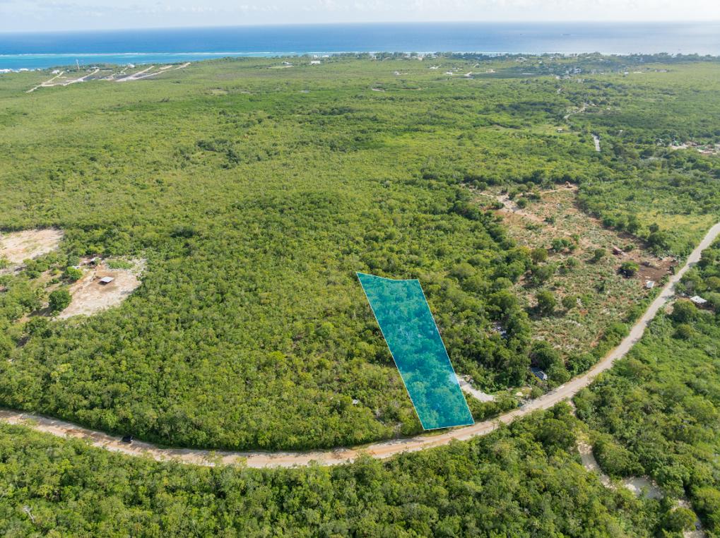 Farm Road 0.52 Acre Vacant Lot — photo 3