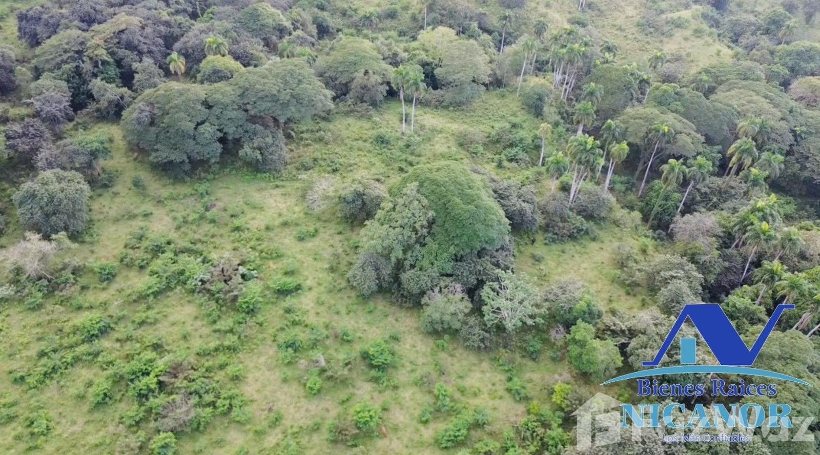 Cattle ranch for sale of 1,150 tareas in Guananico — photo 4