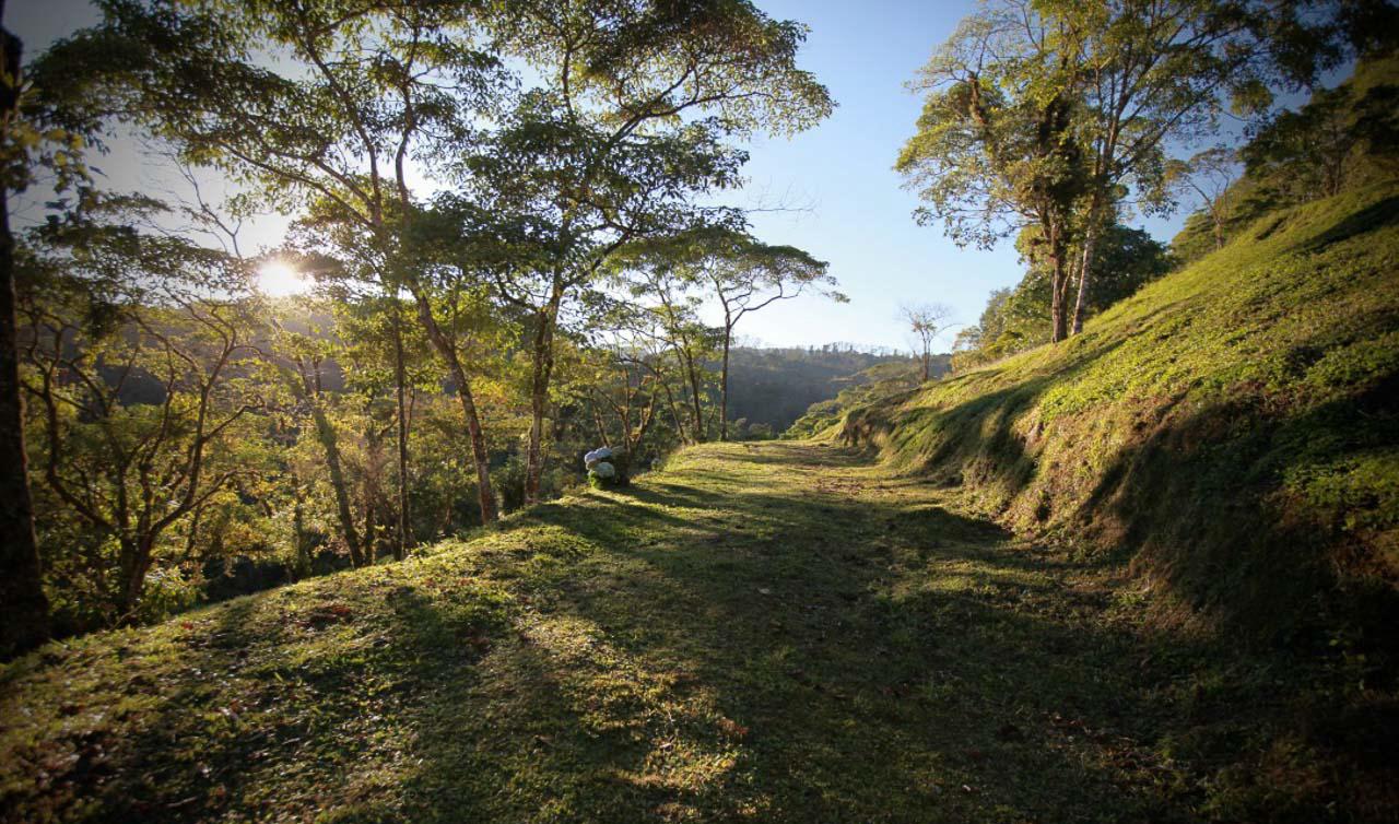 26 Hectares of Agricultural Land for Sale in Sarapiquí, Alajuela, Costa Rica — photo 3
