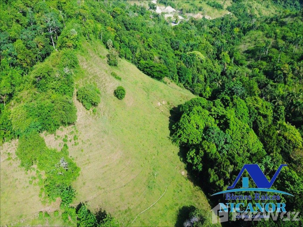 Cattle ranch for sale in Puerto Plata, 278 tareas — photo 5