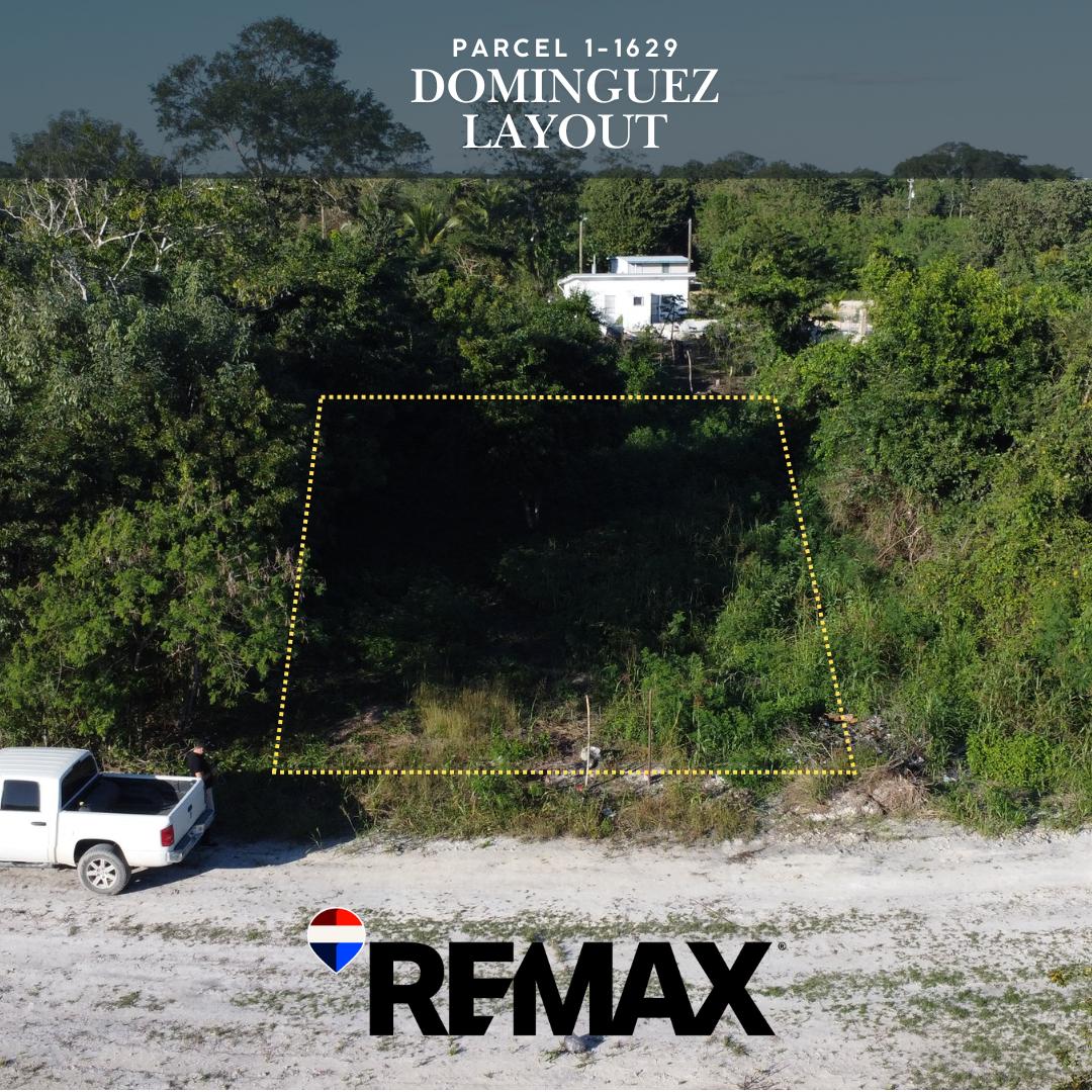 Land Opportunity – Venezuelan/Dominguez Layout, Corozal Town — photo 1