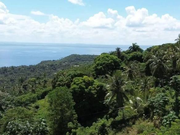 Prime Oceanfront Land for Sale in Samaná: Exclusive Monte Rojo Hillside Lots — photo 2